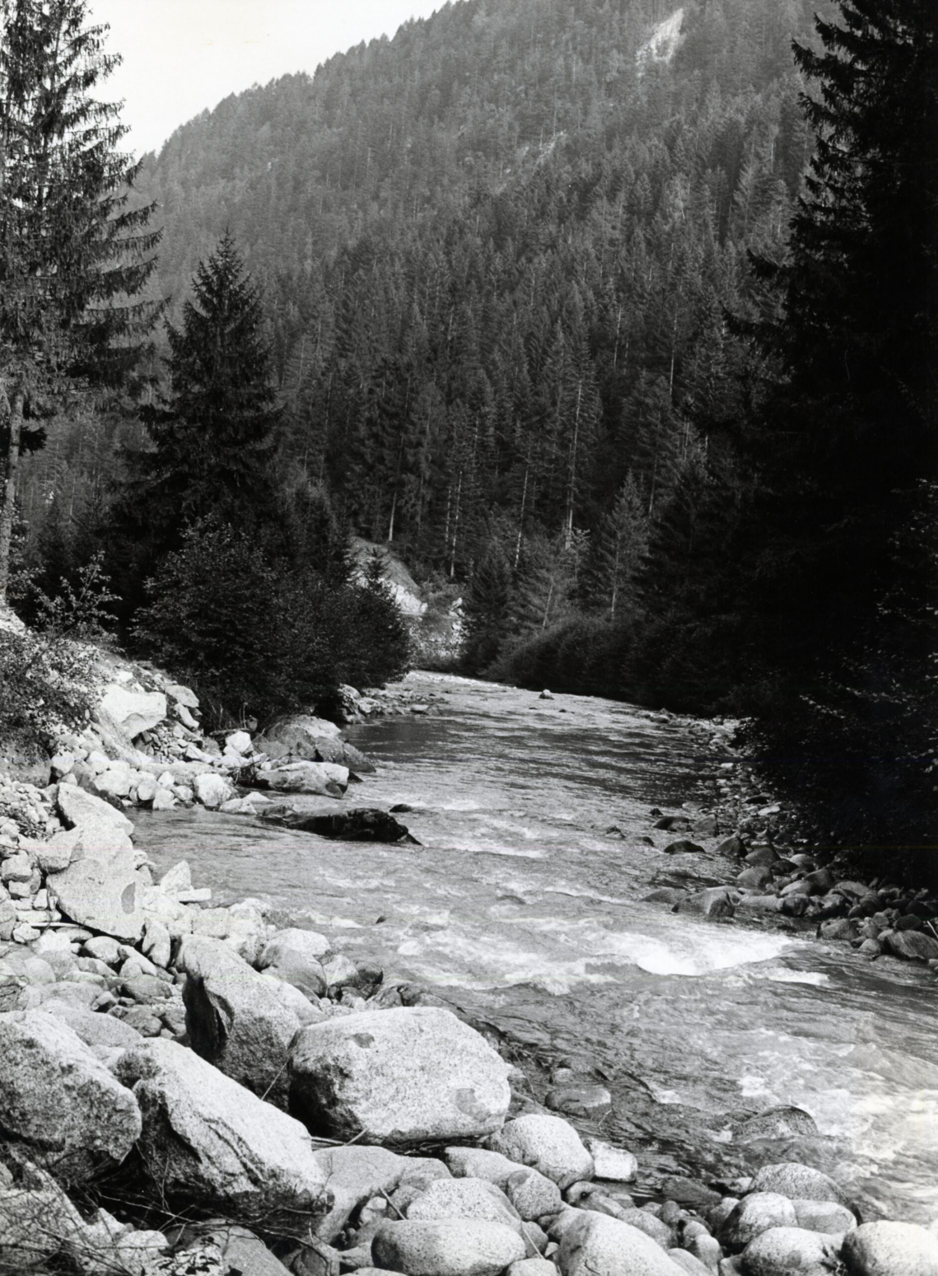 F.19 VAL GENOVA/VALTELLINA