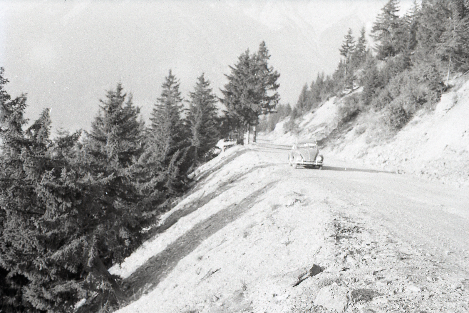 F.50 VALTELLINA - TIRANO - BORMIO